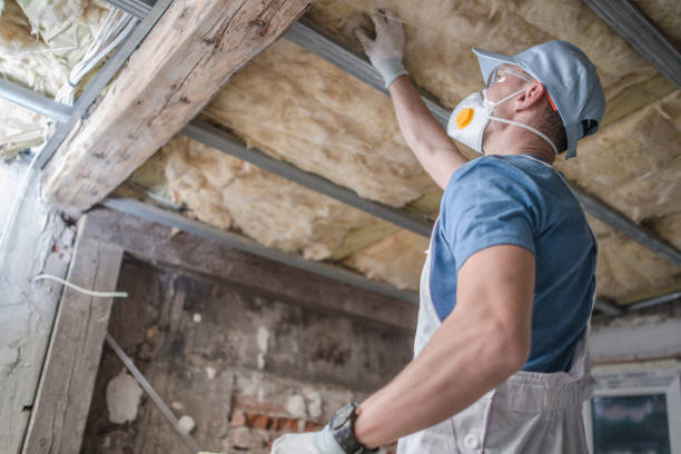 Best Residential Insulation Services  in Panacea, FL