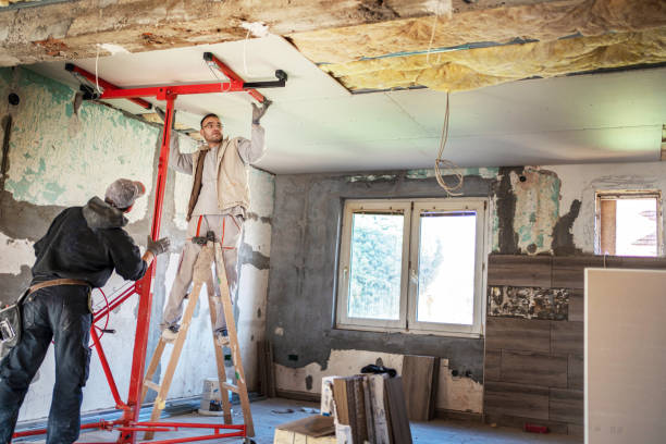 Best Insulation Removal  in Panacea, FL