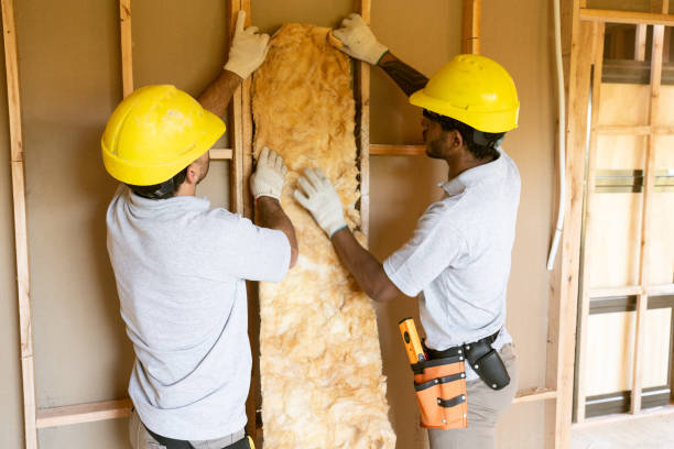 Best Home Insulation Services  in Panacea, FL