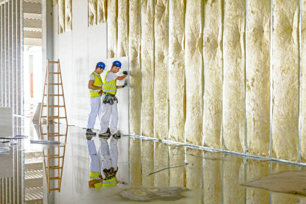 Best Energy-Efficient Insulation  in Panacea, FL